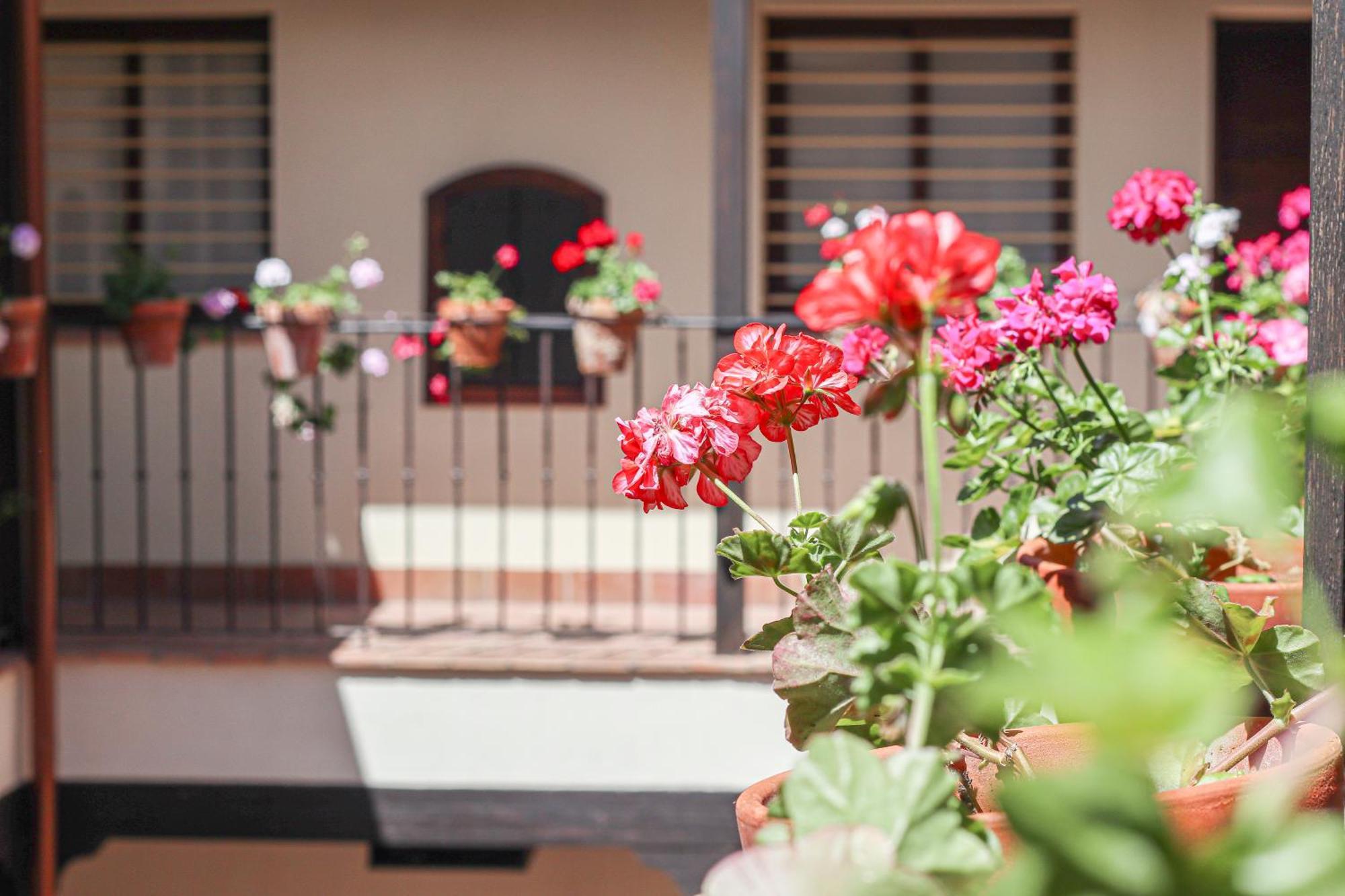Charming Apt In The Center - 10M Walk Isla Magica 세비야 외부 사진